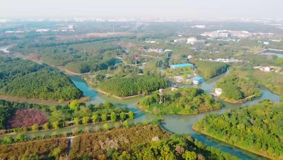 在上海建了9座岛,让留沪过年不孤单!来宠物冒险岛,打开新年的另一种方式🆕让每一份陪伴都有归处~#上海 #游玩攻略 #宠物 #春节 #上海遛狗