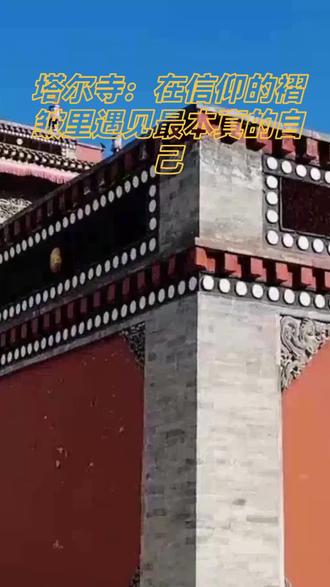 塔尔寺 此生必看的藏传佛教艺术三绝(酥油花、壁画、堆绣),金顶红墙超出片#青海省西宁市#藏寺文化 #红墙寺庙 #塔尔寺