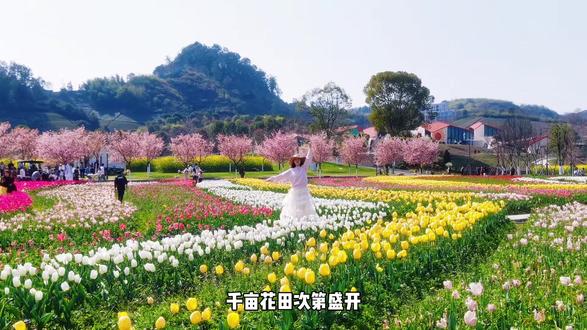 这个春天总要来武义花田美地邂逅浪漫时刻#花田美地 #武义花田美地 #花海 #樱花