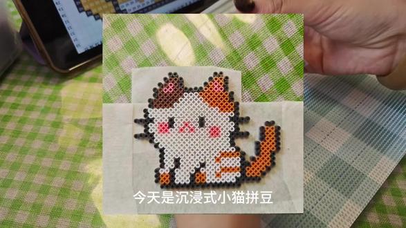 接上期投稿今天是沉浸式小猫拼豆#拼豆 #手工diy #手工记录 #猫咪
