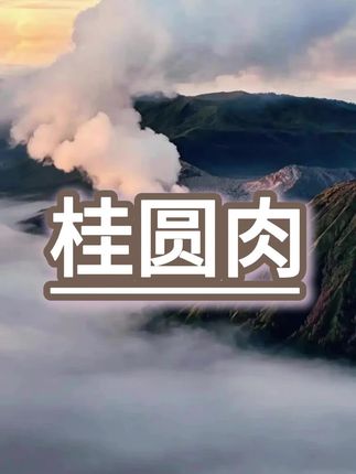 无核无壳老树桂圆肉,软糯香甜,干吃,泡水,煮粥都可以#桂圆肉#无核桂圆肉 #龙眼 #桂圆肉