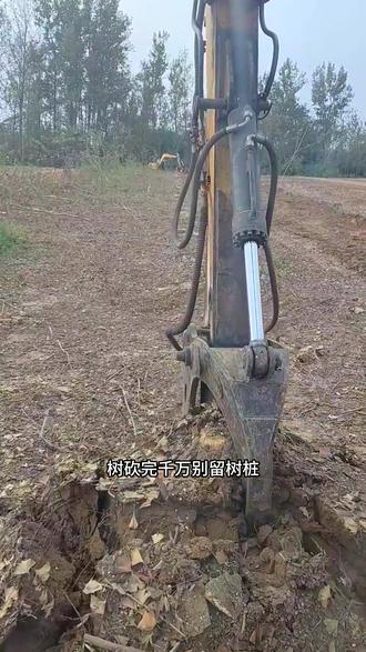 地上的树桩为什么要把它连根拔起?#涨知识#挖树根#科普#工程机械#有趣