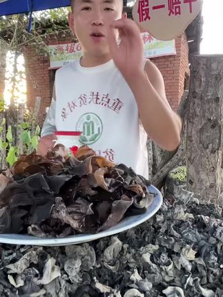 东北山林新鲜采摘,自家种的木耳让你吃出健康! 今天是最后一天了!明天开始就不是这个价啦!!!近一个月来销量过万!