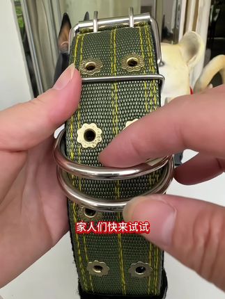 纯手工猛犬比特犬用品装备宠物狗大狗加固精致脖圈升级防磨项圈#好物推荐🔥 #原创视频 #视频创作者中心 #上热搜🔥🔥🔥 #我要是上热门