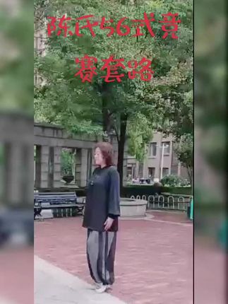 陈氏56式竞赛套路