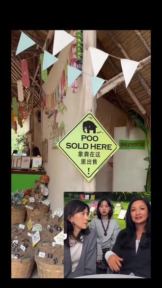 在清迈的碎碎念Vlog -episode 8 #创作灵感
因为太生动,忍不住借用了影视歌模主#瞿颖 女士的关于#大象粑粑公园 的介绍
#泰兰德女孩 #jazz