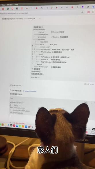 一招节省codex50%额度 重发一遍#抚摸猫咪的治愈时刻 #codex #vibecoding #提示词 #claude