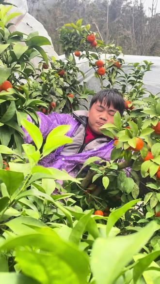 更新一期摇话版#回老家才有的人间美味