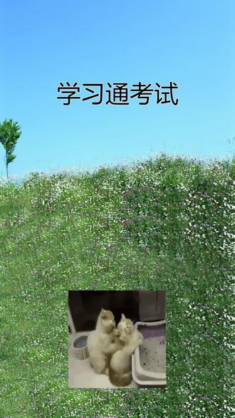 假如你的大学在上网课,应该怎么做才能每次都拿满分,下面三个学习工具一定要码住!#学习通 #学习通考试 #大学生 #知到 #大学网课 @DOU+小助手