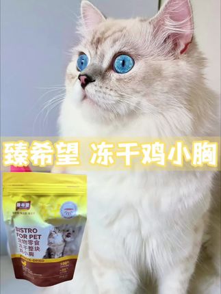 小馋猫又在偷吃鸡小胸啦,臻希望的这个冻干鸡小胸,每块都是完整的新鲜鸡小胸,肉质纹理清晰可见#臻希望#冻干鸡小胸#萌宠好物#宠物零食#养猫经验分享