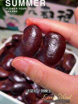 高端食材-黑芸豆#
