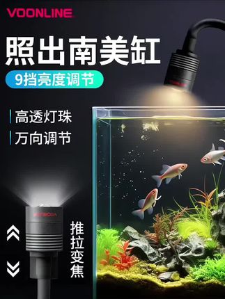 鱼缸led灯变焦灯射灯南美原生溪流缸灯水族调节观赏灯照明#鱼缸照明灯 #鱼缸灯 #鱼缸射灯 #水族用品 #水族器材