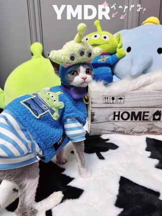 #宠物衣服 #无毛猫衣服#斯芬克斯无毛猫 #英短#德文#萌宠出道计划 #宠物@抖音小助手