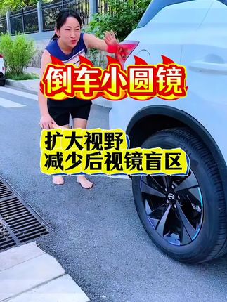 #倒车小圆镜