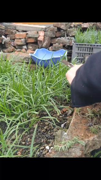 内事不决问小度#暴躁赵大姐 #原创视频 #搞笑