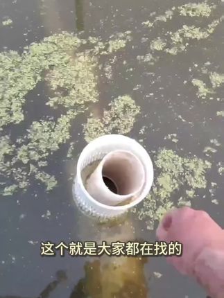 池塘排污神器,不管养鱼还是养虾都可以用到#强烈推荐 #三农养殖 #好物推荐🔥 #排污神器