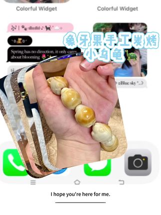 比别人盘串盘的是格调,我盘串盘的是一肚子“龟”密笑点,摸鱼都能理直气壮了,毕竟阿籽在“遛龟”呢 #今日分享 #强烈推荐 #文玩 #热门 #象牙果