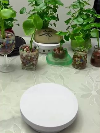 #彩色小淘粒 #小彩蛋 #小淘粒 #花卉绿植 #养花小知识