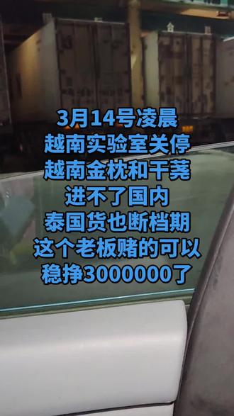 越南实验室关停了,
泰国东部货也是断档期,
越南金枕和干荛回不来货
也就是说这二十天左右。
手里有榴莲的老板
可以昂着头挣大钱了!
不用担心行情会掉了!
