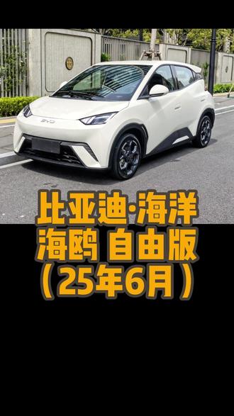 城市个性小代步车,比亚迪海鸥 看了事故照片,真的皮实耐用啊#比亚迪 #比亚迪海鸥 #代步车 #新能源汽车 #新能源