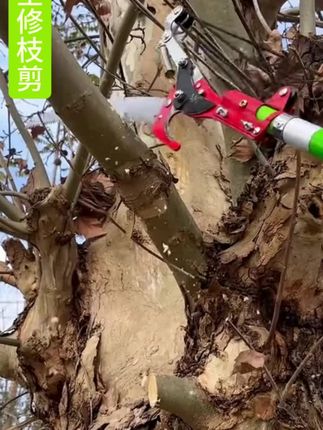 #五金工具 #高空修枝剪刀