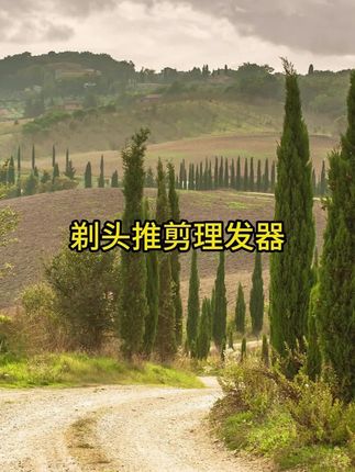 理发器家用剃头推剪通用专用电复古电推两用显示颜值#理发器 #多功能理发器 #推刀#美发工具 #质量杠杠的好