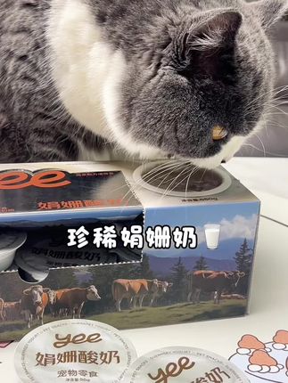 yee新品娟姗酸奶碗🥣 猫狗都可以吃 浓郁奶香营养美味又补水 #yeepet宠物零食娟姗酸奶 #yeepet犬猫零食娟姗酸奶 #萌宠好物