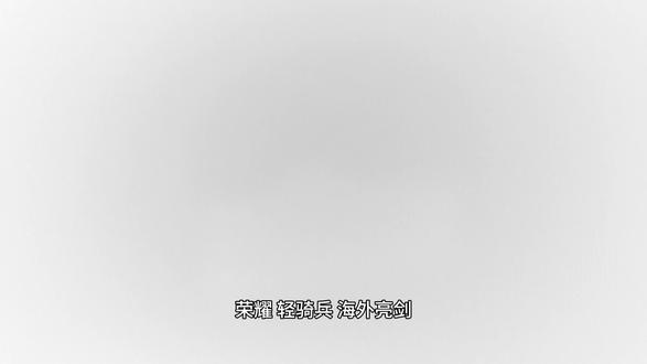 你希望荣耀600 Lite在国内上市吗