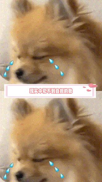 春节在家我就这样追星 #新年解锁多闪的自己 #多闪2026马上遇见 #多闪app #多闪 #明星仔仔