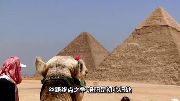 东山驼队重走丝绸之路,终点是洛阳还是郑州?