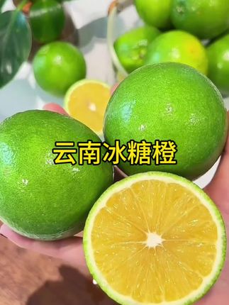 云南哀牢山的青皮冰糖橙,巨甜无渣,果肉细腻,别看它表皮长得绿了吧唧的,吃起来是纯甜的,真的很好吃,没吃过的一定要试试!#冰糖橙 #新鲜应季水果 #橙子