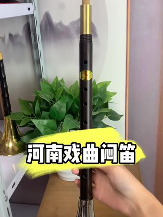 河南戏曲闷笛 #闷笛