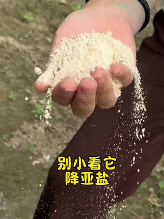 别小看它#降亚盐 #鱼耀 硝化细菌 纯生物制剂 化水泼 也可以加红糖兑水泼#对虾养殖 #水产养殖