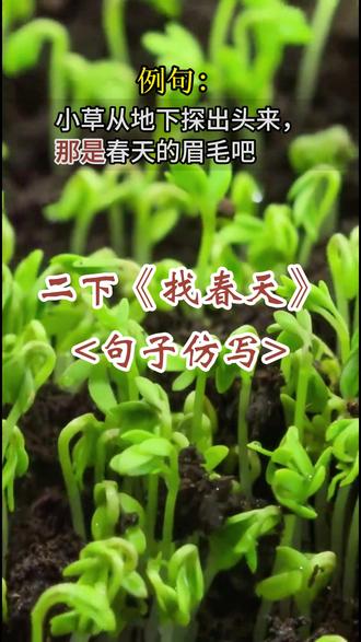 二年级语文下册《找春天》课后句子仿写#二年级 #语文 #幼小衔接