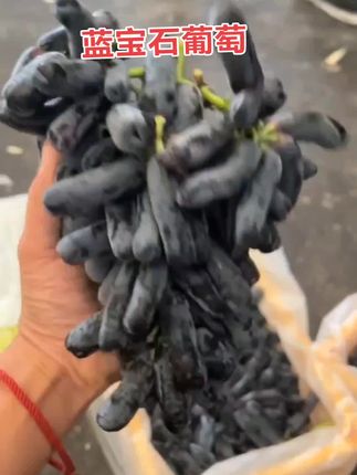 蓝宝石葡萄皮薄肉嫩,清甜多汁,无籽,口感特别好#优质农产品 #应季水果 #快来一起尝个鲜