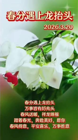 春分巧遇农历二月初二,昼夜平分,好运抬头!百鸟归来报春时,陌上花开,山河锦绣。春菜正鲜,春光正好,春风和煦,好运昂首。愿你前程似锦,不负春朝!