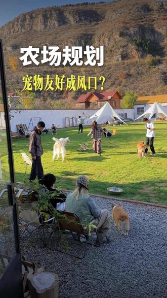 宠物友好农场成新风口,一线城市周边选址,高复购低门槛高客单。#景合文旅#惊鸿乡村#乡村振兴#乡村设计#乡村规划