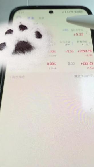 基金投vs定投#投资理财#定投基金 #学习使我快乐