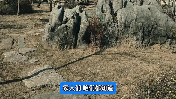 《科普心理学》1094: 主观能动性是能力产生的重要条件