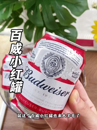 聚会畅饮,就选百威小红罐啤酒!一箱24罐,每罐255ml,一次一罐微醺正好。140年经典酿造工艺,精选原料,山毛榉木发酵,麦香浓郁,口感清爽顺滑,百搭各种美食。#啤酒🍺 #百威啤酒#百威小红罐#三伏天