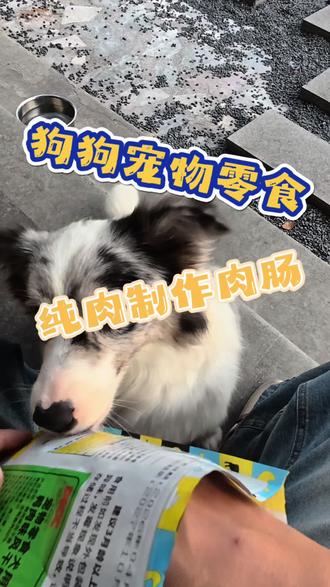 想养出毛发亮发又柔顺的狗狗一定是给狗狗吃好,丰富的蛋白质和维生素补充才能养出漂亮的小狗啦。#宠物零食 #宠物毛发 #边牧日常