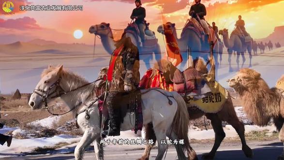 驼铃悠扬 载福而来
荞香缕缕 滋养古今
瑞雪凝枝 喜迎天下
淳风佳物 诚邀客至
#东天山来的骆驼队 #淳化文旅 #淳化荞面饸饹 #淳化瑞雪苹果