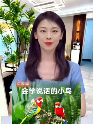 声控感应鹦鹉仿真会动会叫会说话鸟 #宠物小精灵 #有趣的创意