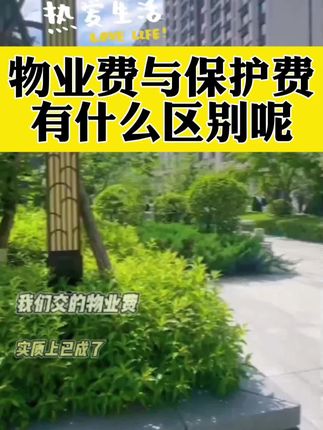 物业费与保护费有什么区别呢#物业#房产#业主@抖音小助手