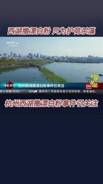 西湖撒漂白粉:护荷杀藻有妙招