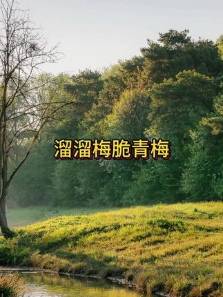 溜溜梅出的脆青梅真的好好吃啊,酸酸甜甜一口爆汁,妥妥的口水制造机!#溜溜梅 #青梅 #解馋 #太好吃了 #好吃到停不下来