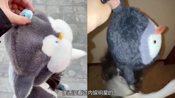 内娱明星的“干嘛拎帽子”踢腿卖萌挑战 萌态百出,你最pick谁?