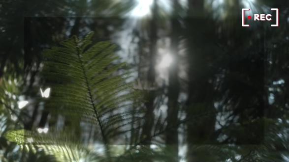 杨阳导演阐述-致周老师们