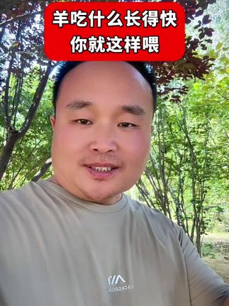 羊吃什么长得快 你就这样喂 #养羊 #养羊技术分享 #养羊知识 #农村养羊 #三农养殖