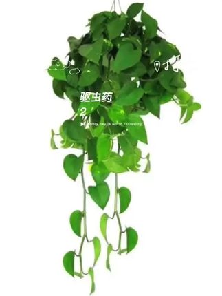 夸孩子也是一门学问要用对方式,不然只能适得其反#亲子教育 #育儿  #家庭教育  #父母课堂  #干货分享